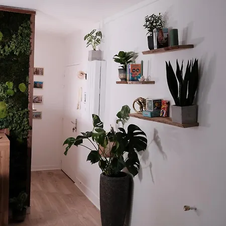 Apartman L'echappee Verte - Hyper Centre - Inclus *