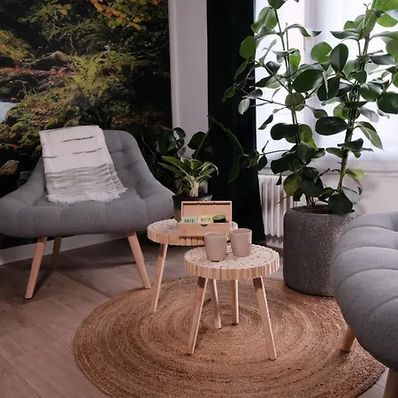 Apartman L'echappee Verte - Hyper Centre - Inclus Rouen